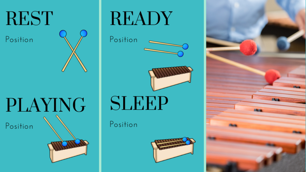 Positions to teach students when playing on the xylophone: rest, ready, playing, sleep