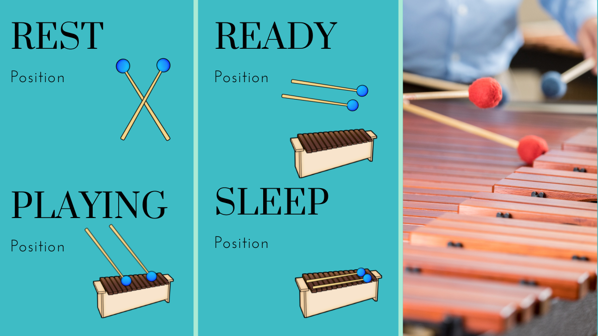 5 Easy Tips How To Play On Xylophone Get Elementary Students